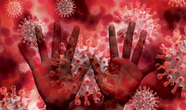 Situație actualizată la nivelul județului Constanța, privind noul coronavirus