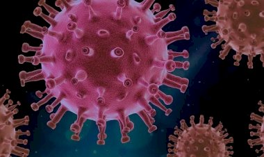 Situație actualizată la nivelul județului Constanța, privind noul coronavirus