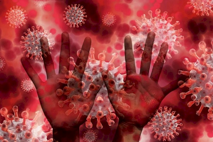 Situație actualizată la nivelul județului Constanța, privind noul coronavirus