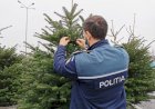 Polițiștii constănțeni au efectuat controale comercianților de barzi de Crăciun