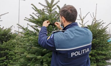 Polițiștii constănțeni au efectuat controale comercianților de barzi de Crăciun