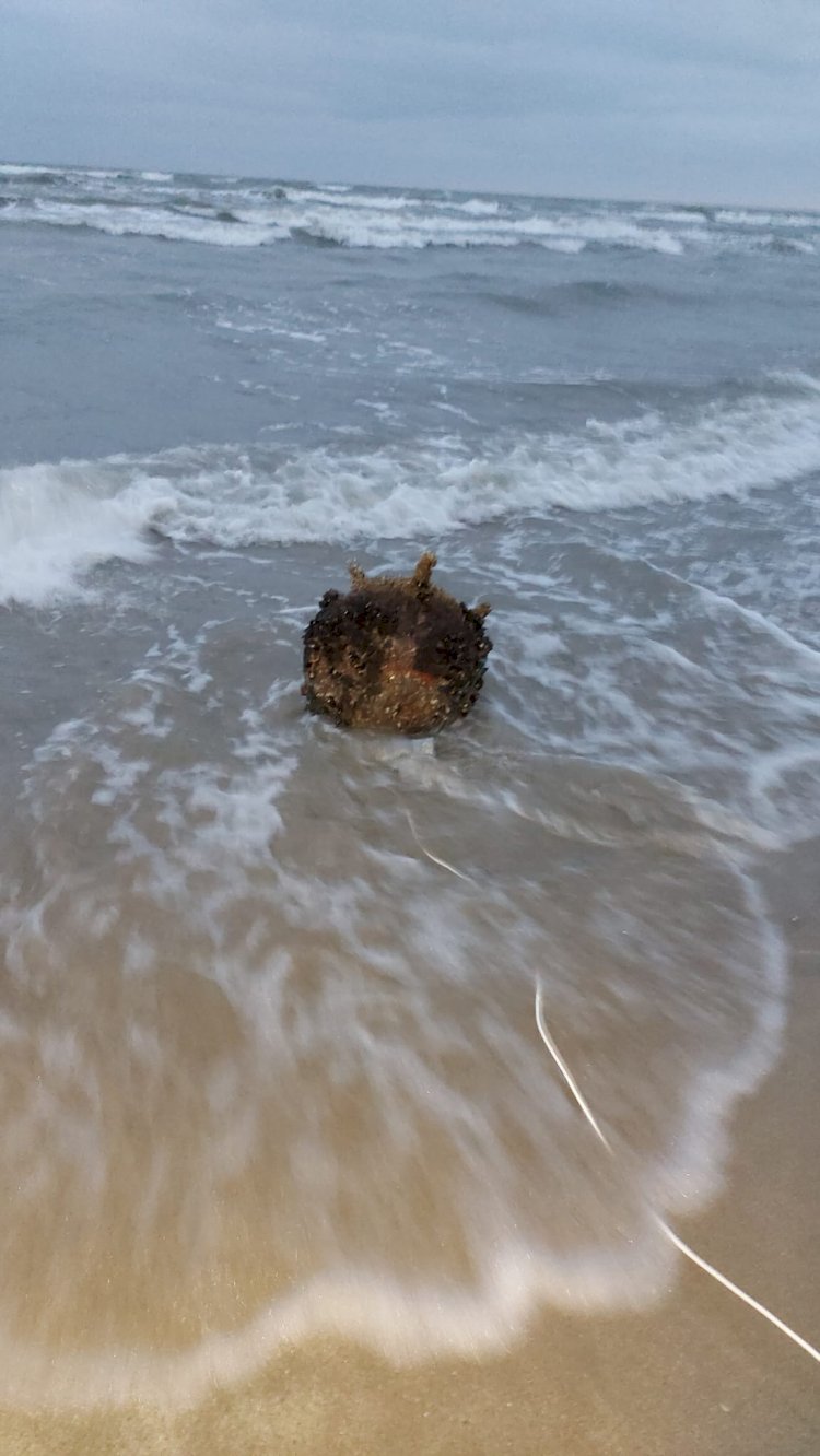 Mină marină descoperită de polițiștii de frontieră pe plajă, în zona localității Sfântul Gheorghe